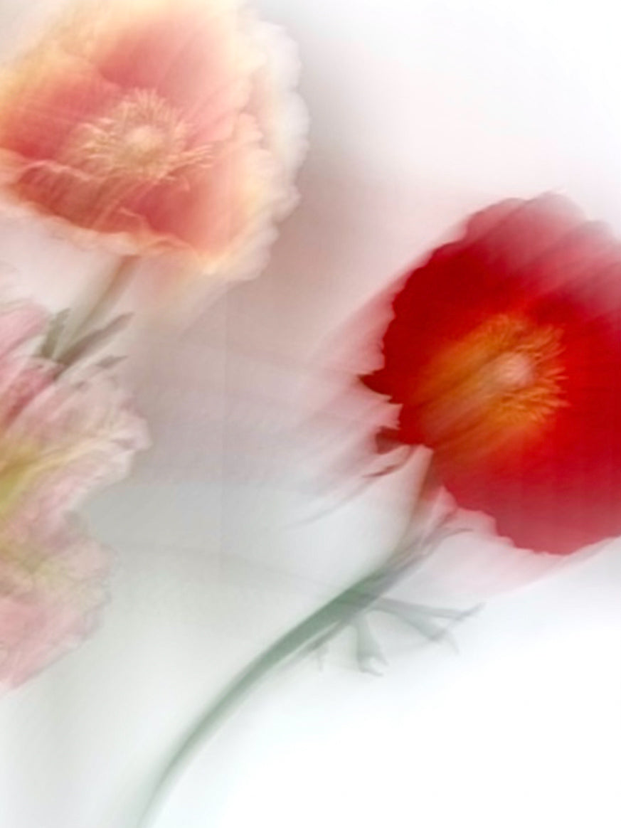 Full collection of artificial flowers and vases by FAUX Botanical Studio Dubai