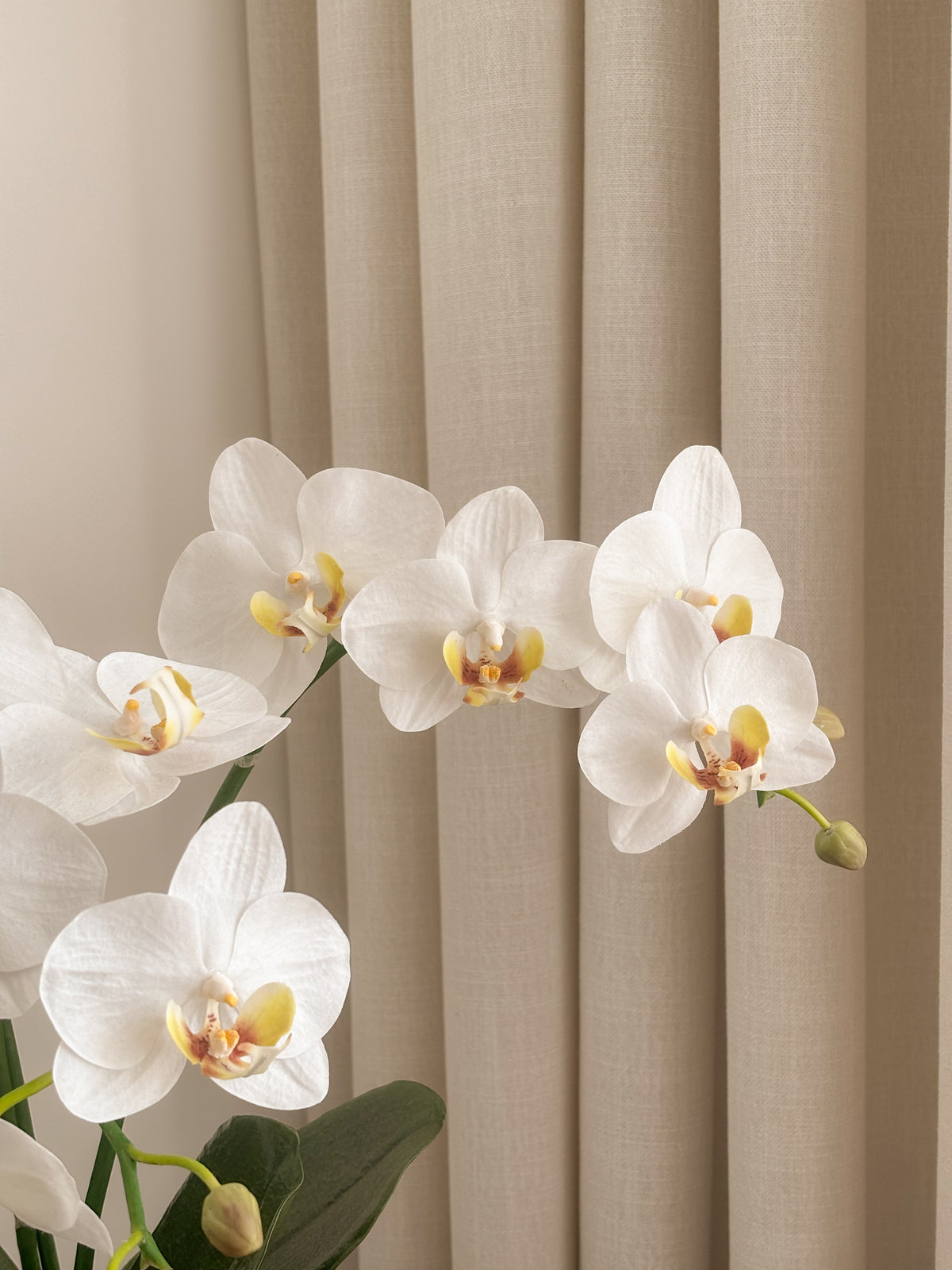Detail view: artificial white orchids with amber centres by FAUX Dubai