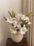 THE LILIES