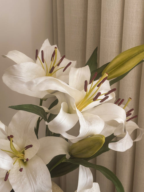 THE LILIES