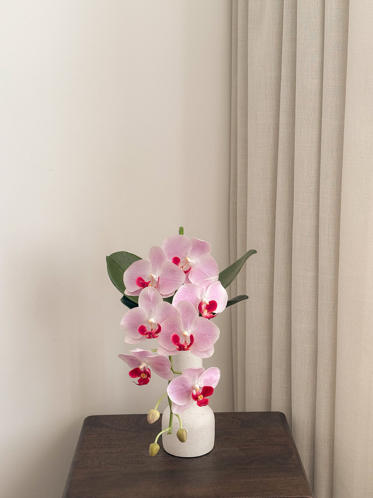 THE ORCHID 01
